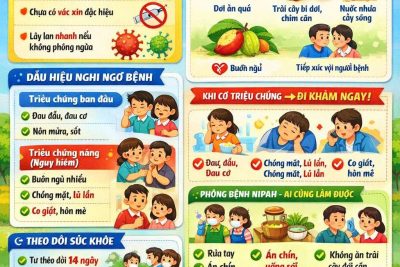 Bài tuyên truyền phòng chống bệnh NIPAH